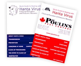 Quick Guide to Hanta Virus
